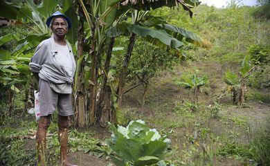 Ilha da Marambaia (RJ) - Dona Tacira Julião Alves, remanescente quilombola, mostra o que cultiva em sua roça (Tânia Rêgo/Agência Brasil)