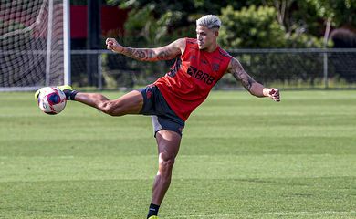 Flamengo, Pedro, Campeonato Carioca