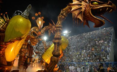 Rio de Janeiro - Desfile da escola de samba do grupo especial Acadêmicos do Salgueiro, no Sambódromo (Fernando Frazão/Agência Brasil)