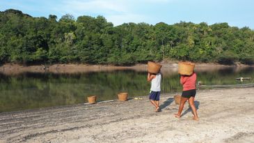 Caminhos da Reportagem - Guaraná, os olhos da Amazônia - alguns produtores lavam o guaraná no rio