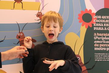 O estudante Pedro Landa, de 8 anos, participa da abertura da exposição Planeta Inseto, no Museu do Instituto Biológico.