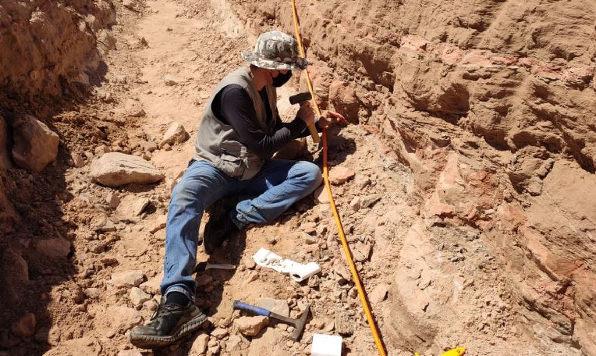 Eixo SP localiza fósseis de dinossauros em obras na SP 294.