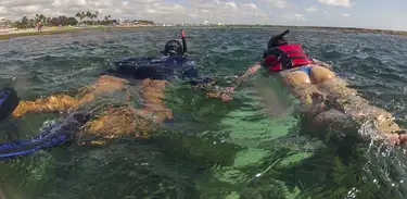 Oceano 