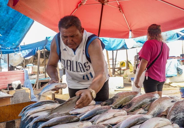 Manaus (AM), 20/11/2023,  Marcos César Antonio, o Marcos do Pescado, comerciante, vende  peixes na região do Porto de Manaus. Manaus sofrre com a maior seca em 121 anos. Foto: Rafa Neddermeyer/Agência Brasil