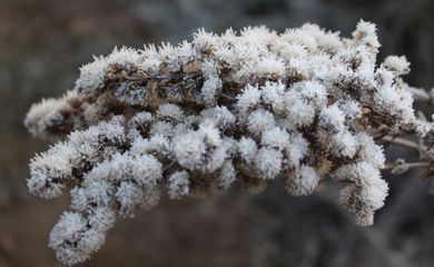 O amamancer de 28 de abril em Urupema foi  com os campos coberto de geada e os termômetros regitrando -5,4º C
