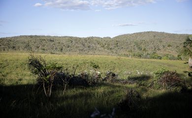 Cavalcante (GO) 12/09/2023 - Vista do cerrado na Comunidade quilombola Kalunga do Engenho II. O cerrado é um dos cinco grandes biomas do Brasil, cobrindo cerca de 25% do território nacional e perfazendo uma área entre 1,8 e 2 milhões de km2
Foto: Joédson Alves/Agência Brasil