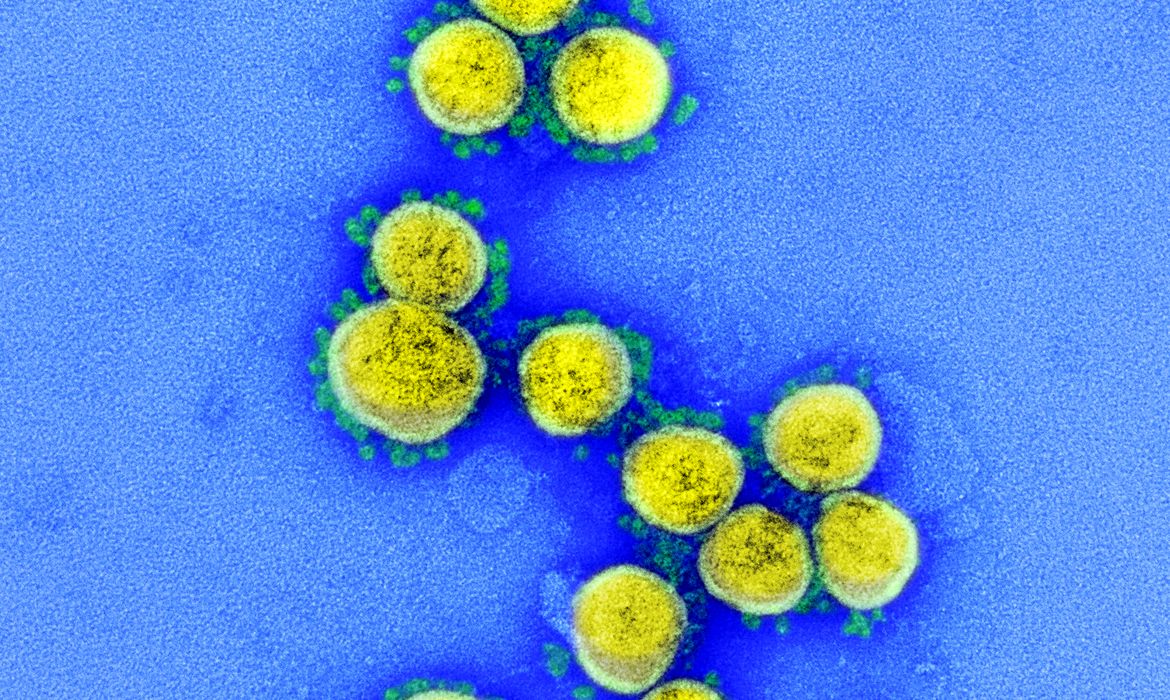 Coronavírus (COVID-19), Novo Coronavirus SARS-CoV-2