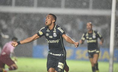santos, fluminense, brasileiro, série a