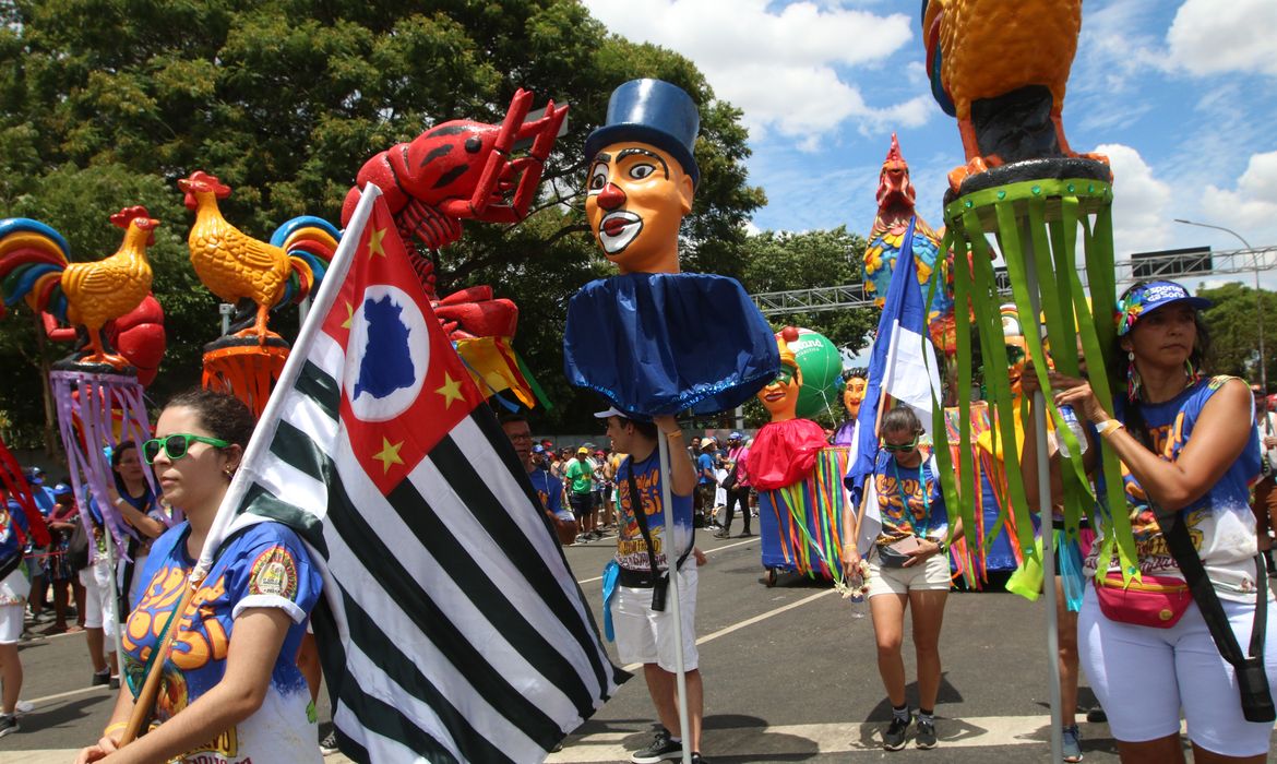 São Paulo (SP), 13/02/2024 - Desfile do bloco de carnaval Galo da Madrugada, com participação do grupo Maracatu Bloco de Pedra, em frente ao Parque Ibirapuera. Foto: Rovena Rosa/Agência Brasil