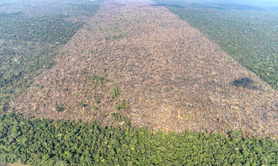 DESMATAMENTO AMAZÔNIA - Lábrea, Amazonas Foto: Victor Moriyama/Greenpeace