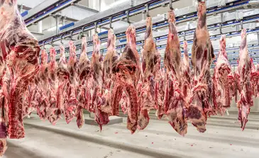 Mais 38 frigoríficos brasileiros já podem exportar carnes à China. Foto: Mapa/iStock