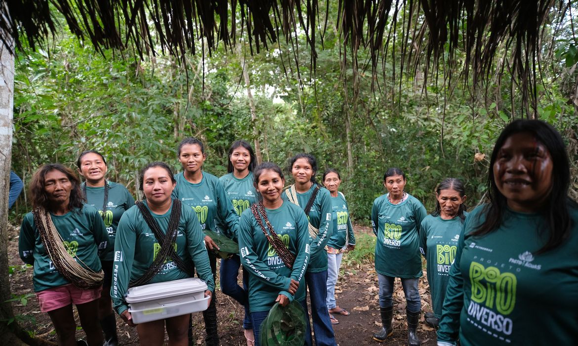 Juara (MT), 08/04/2025 – Mulheres indígenas do Povo Rikbaktsa trabalham na extração do mel em meliponário na aldeia Pé de Mutum, Terra Indígena Japuíra, apoiadas pelo projeto Biodiverso. Foto: Fernando Frazão/Agência Brasil
