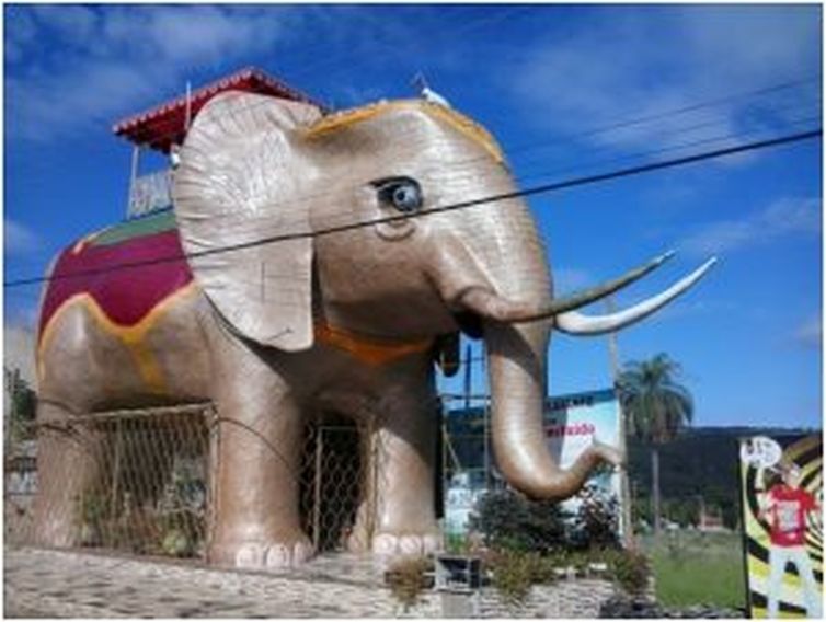 Gofrado Elefante – 38 – Guarro Casas