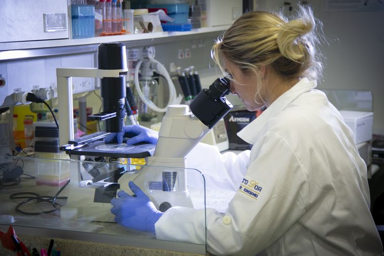 Presença de toxinas na água consumida pela população nordestina contribuiu para aumentar o número de casos de microcefalia associados à epidemia do vírus zika na Região Nordeste Presença de toxinas na água consumida pela população nordestina contribuiu para aumentar o número de casos de microcefalia associados à epidemia do vírus zika na Região Nordeste