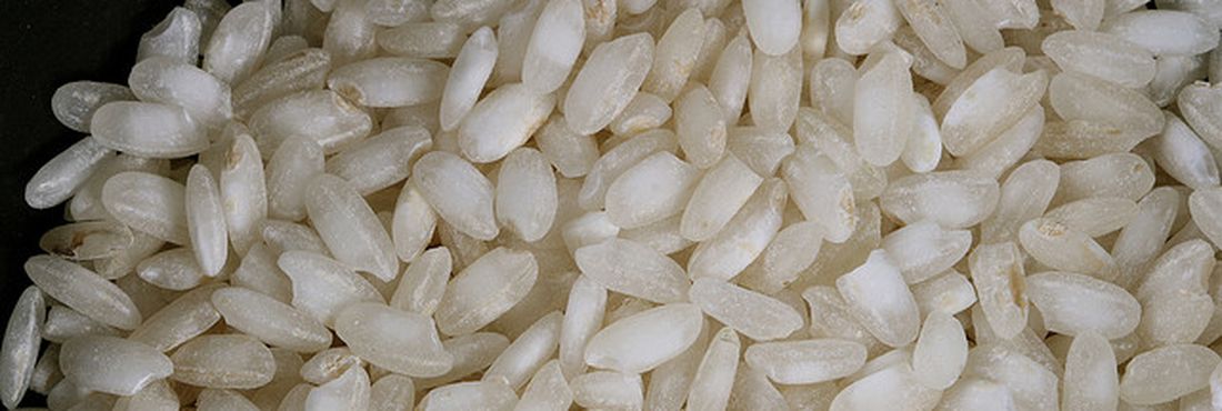 Produtores de arroz pedem cota para limitar importações do produto no Mercosul