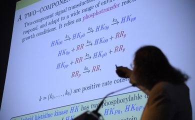 Alicia Dickenstein, da Universidade de Buenos Aires, participa do Encontro Mundial para Mulheres em Matemática (WM)², no Riocentro.