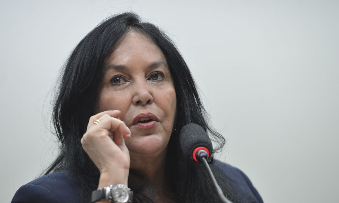 Brasília-Presidente da CMO, deputada Rose de Freitas e o relator, Ricardo Teobaldo, falam sobre o rito de apreciação do relatório do TCU que rejeitou as contas da presidenta Dilma(Fabio Rodrigues Pozzebom/Agência Brasil)