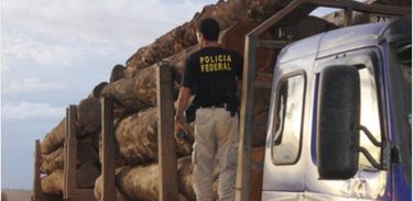 Polícia Federal combate transporte ilegal de madeira no Maranhão