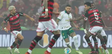 Flamengo x Palmeiras