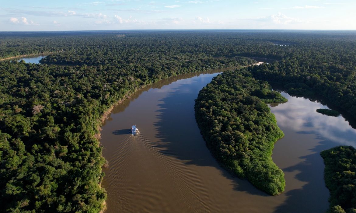 Frame TV Brasil Brasília (DF) 10/10/2025 – Caminhos da Reportagem apresenta reserva na Amazônia que utiliza o extrativismo sustentável.
Frame TV Brasil