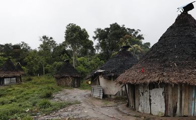 Surucucu (RR), 10/02/2023 - A Maloca de Xerimifique, em Surucucu, na Terra Indígena Yanomami. Foto: Fernando Frazão/Agência Brasil
