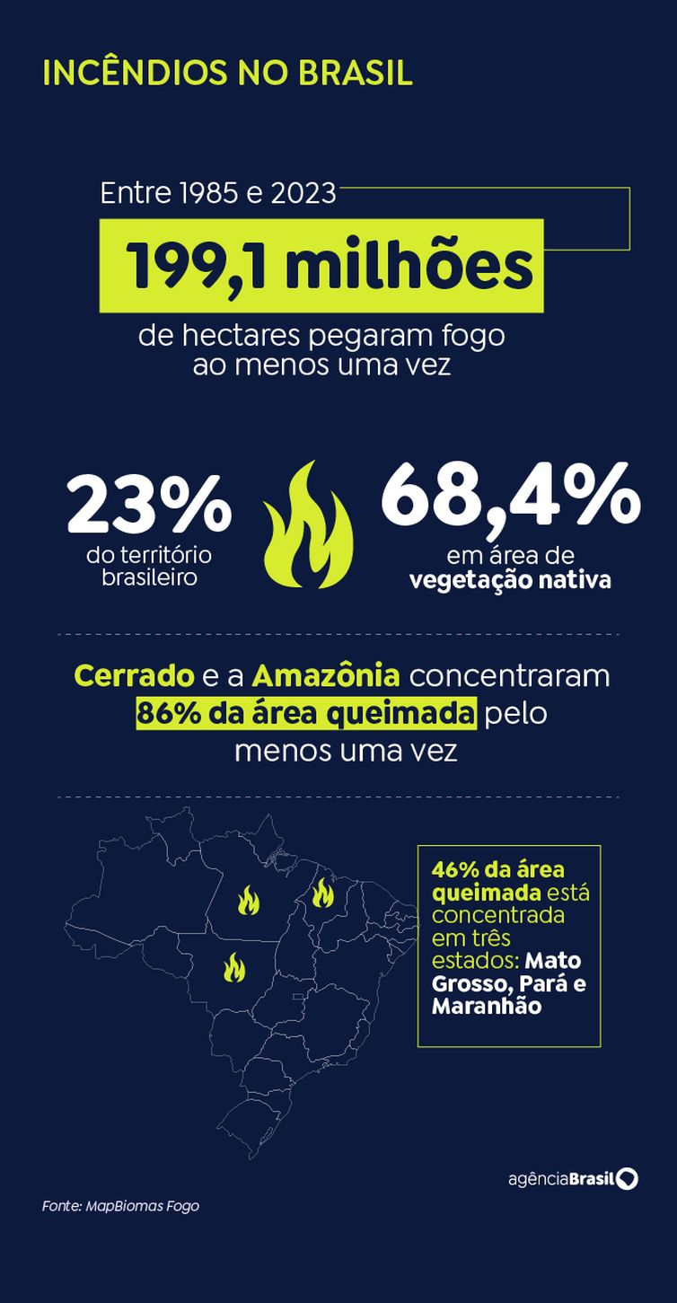 Brasília (DF) 17/06/2024 - Um quarto do território brasileiro pegou fogo nos últimos 40 anos.Arte EBC