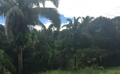 A iniciativa aguarda a liberação do licenciamento ambiental da Secretaria de Estado de Meio Ambiente de Mato Grosso para começar a funcionar