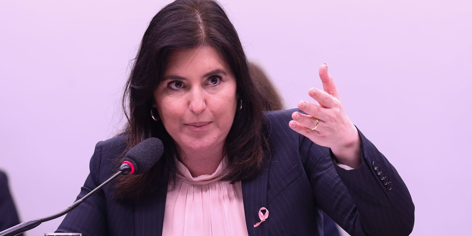 Ministra Simone Tebet apresenta o Plano Plurianual Participativo