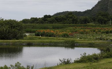 O Parque Orla Piratininga Alfredo Sirkis, em Niterói. tem bacias de sedimentação e jardins filtrantes para tratamento de águas.