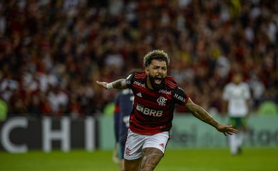 Flamengo, Cuiaba, Campeonato Brasileiro