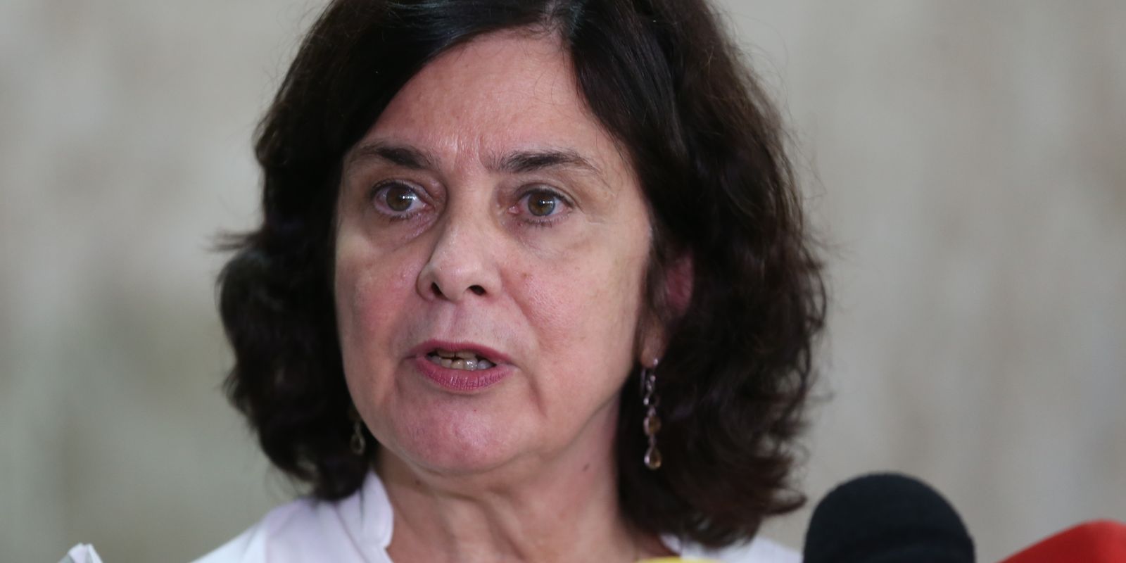 Ministra defende cooperação científica entre Brasil e França 3 Ministra defende cooperação científica entre Brasil e França