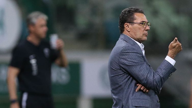 Cesar Greco/Palmeiras/Direitos Reservados VAndeirlei Luxemburgo, técnico do Palmeiras