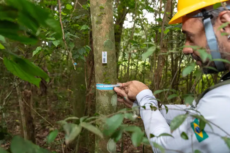 Sara Cheida/Itaipu Binacional Itaipu triplica diversidade em floresta. Trabalho abrange cerca de 30 mil hectares de mata ciliar entre Foz do Iguaçu e Guaíra (PR). Será o mais completo inventário florestal já realizado por uma usina hidrelétrica. Foto: Sara Cheida/Itaipu Binacional. Foto: Sara Cheida/Itaipu Binacional