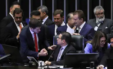 Brasília (DF), 11/06/2025  - Sessão da Câmara dos Deputados  que votou o PL- 4149/04, que aumenta a pena de reclusão pela posse ou porte de arma de fogo de uso proibido (como fuzis)  Foto: Lula Marques/Agência Brasil