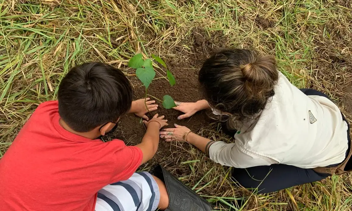 Memorial verde é plantado em SP para lembrar pandemia no país