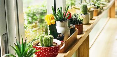 Sem Censura dá dicas de como reformar sua casa