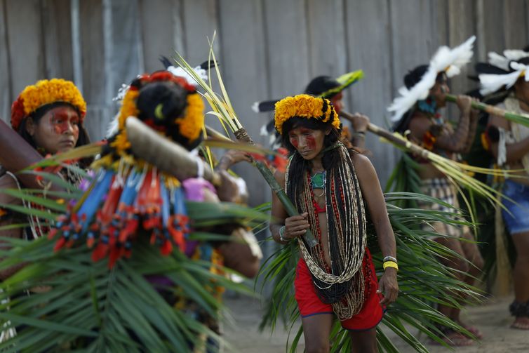Brasnorte (MT), 09/04/2025 – Apresentação de dança típica do Povo Rikbaktsa na aldeia Beira Rio, Terra Indígena Erikpatsa. Foto: Fernando Frazão/Agência Brasil
