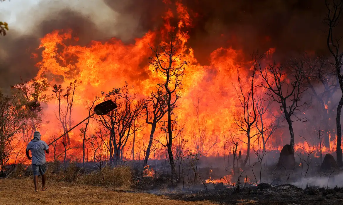 Brasília, DF 15-09-2024 Um Incendio atingiu o Parque Nacional de Brasília. Bombeiros e populares tentavam conter as chamas Foto: Fabio Rodrigues-Pozzebom