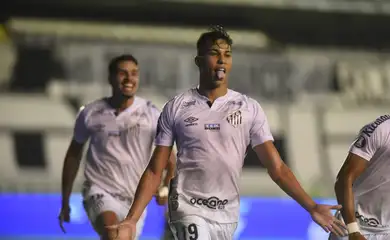 santos, gremio, libertadores