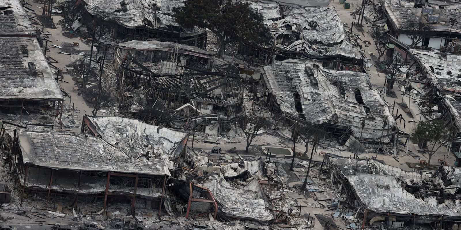 Processo de incêndio no Havaí culpa donos de terra por falta de poda ...