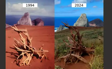 Ilha da Trindade (ES), 16/08/2016 - Restauração ambiental. Comparação entre vegetação na Ilha de Trindade, no Espirito Santo, entre 1994 e 2024. Foto: Ruy José Valká Alves e Márcia Gonçalves/Divulgação