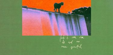 capa do álbum por Sofi Tukker