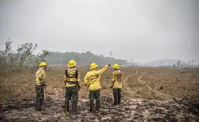 Brasília (DF) 12/09/2024 - Brigadistas do Prevfogo/Ibama e ICMBio combatem incêndios florestais na Terra Indígena Tenharim/Marmelos, no Amazonas
Foto: Mayangdi Inzaulgarat/Ibama