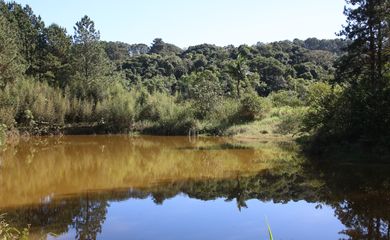 Lago do Parque Natural Municipal Varginha, no bairro Chácara Santo Amaro.