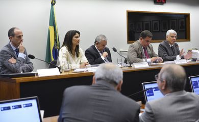 Brasília - O secretário da Receita Federal, Jorge Rachid, fala na CPI do Conselho Administrativo de Recursos Fiscais - Carf  (Antonio Cruz / Agência Brasil)