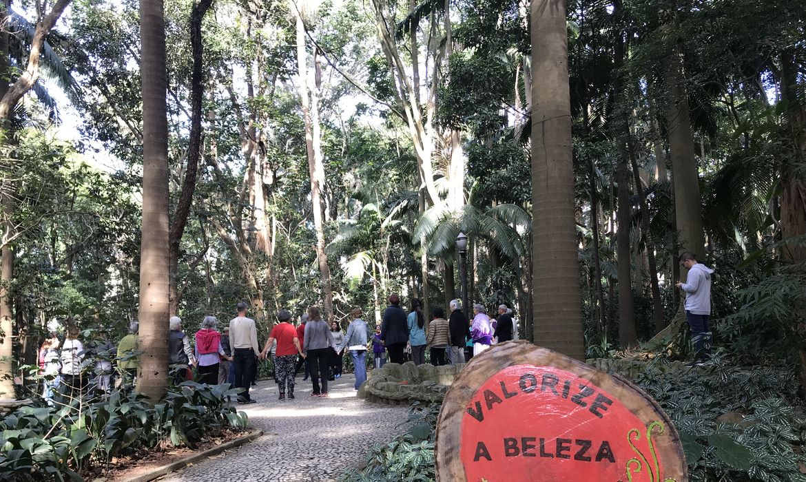 Parque Trianon, na Avenida Paulista, em frente ao Masp, um varal foi estendido com informações sobre o parque, trabalhos que estão sendo desenvolvidos no local e fotos da antiga Avenida Paulista e da vegetação da Mata Atlântica.
