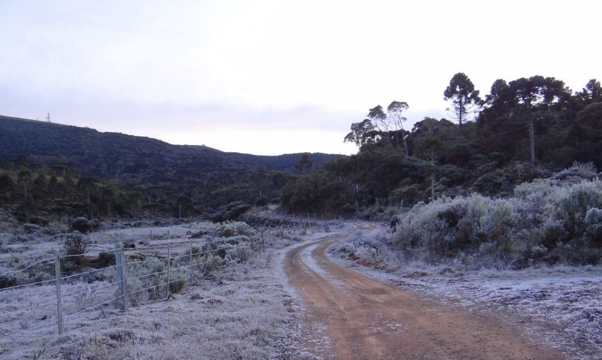 Massa polar provoca geada em várias regiões de Santa Catarina