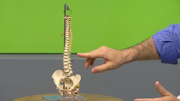 Espreguiçar ao acordar ajuda a colocar a coluna no lugar