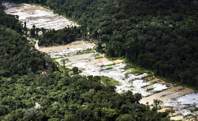 Em voo aéreo, Greenpeace encontrou exploração mineral não autorizada na Floresta Nacional de Urupadi Foto: Daniel Beltrá/ Greenpeace/ Divulgação