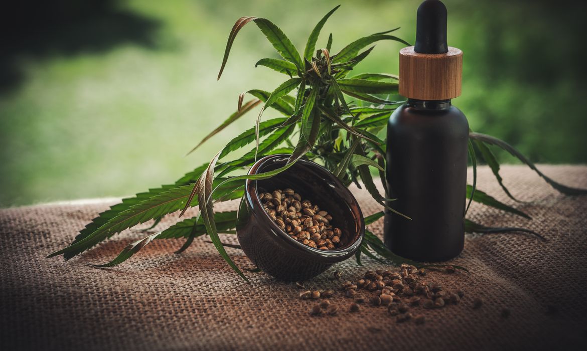 CBD-Infos-com/ Pixabay 23/06/2023 - óleo de canabis, canabidiol, cbd, thc. Foto: CBD-Infos-com/ Pixabay